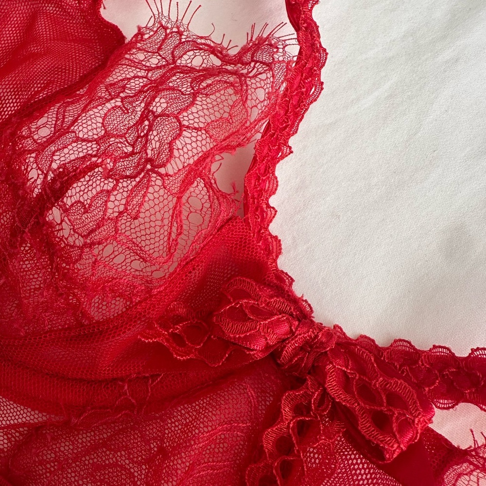 Agent Provocateur Scarlet Lace Bra - Picture 5 of 5